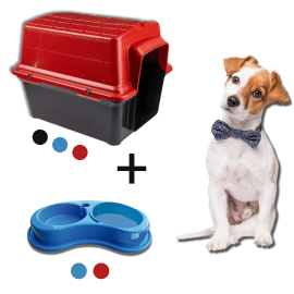 Casinha + Comedouro Duplo para Raças Pequenas