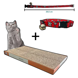 Arranhador + Coleira com Sininho para Gatos